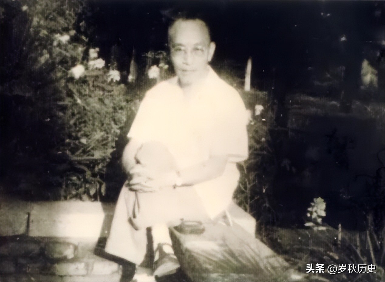 湯飛帆