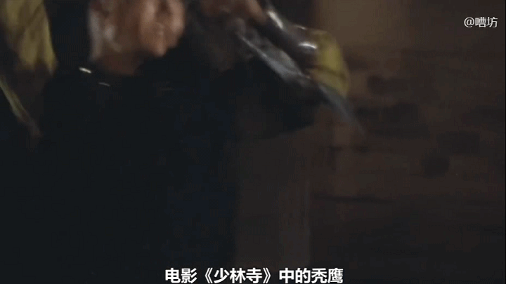 計入春華