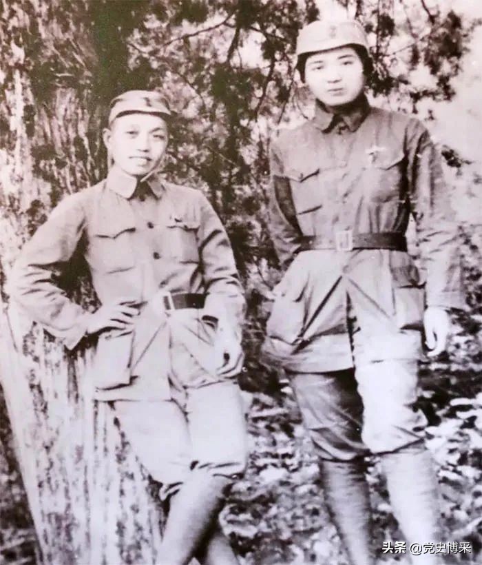 譚震林