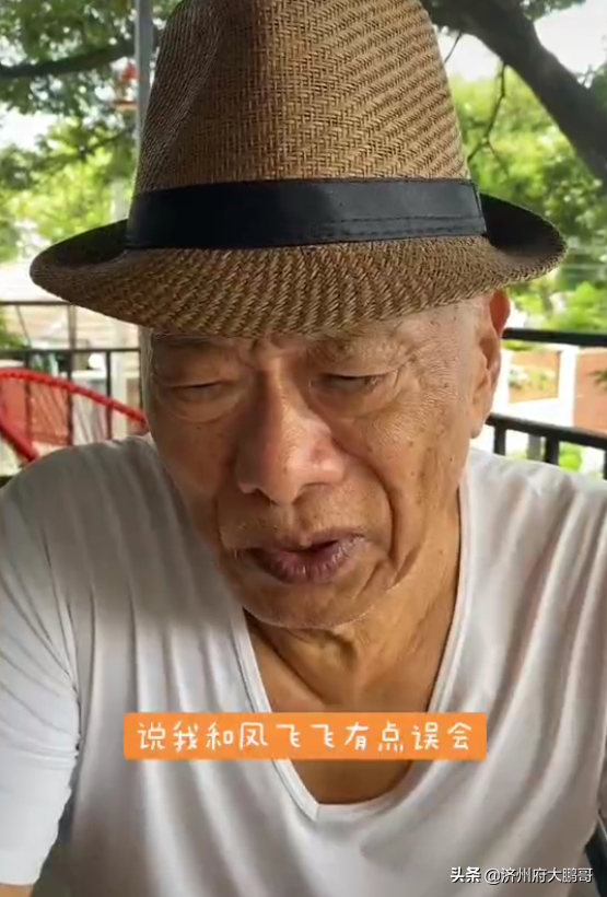 鳳飛飛