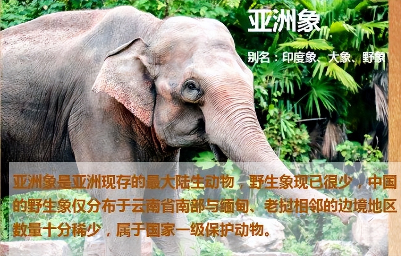 方舟子