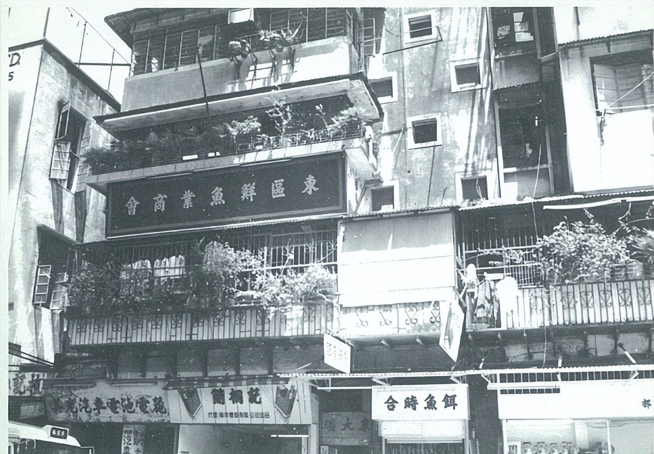 容國團
