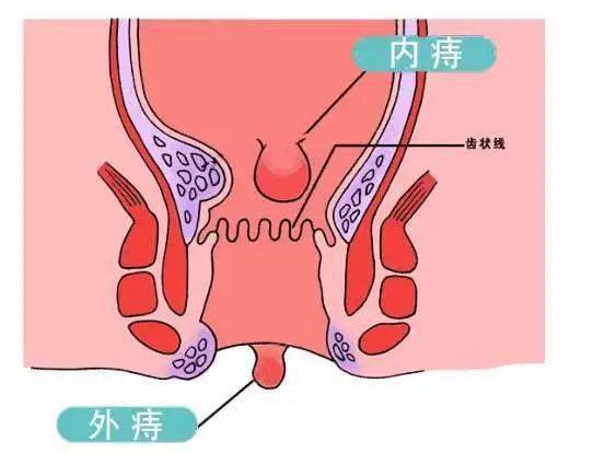 奧黛麗赫本