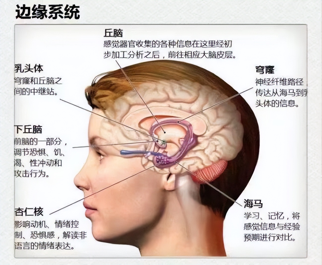 撒貝南