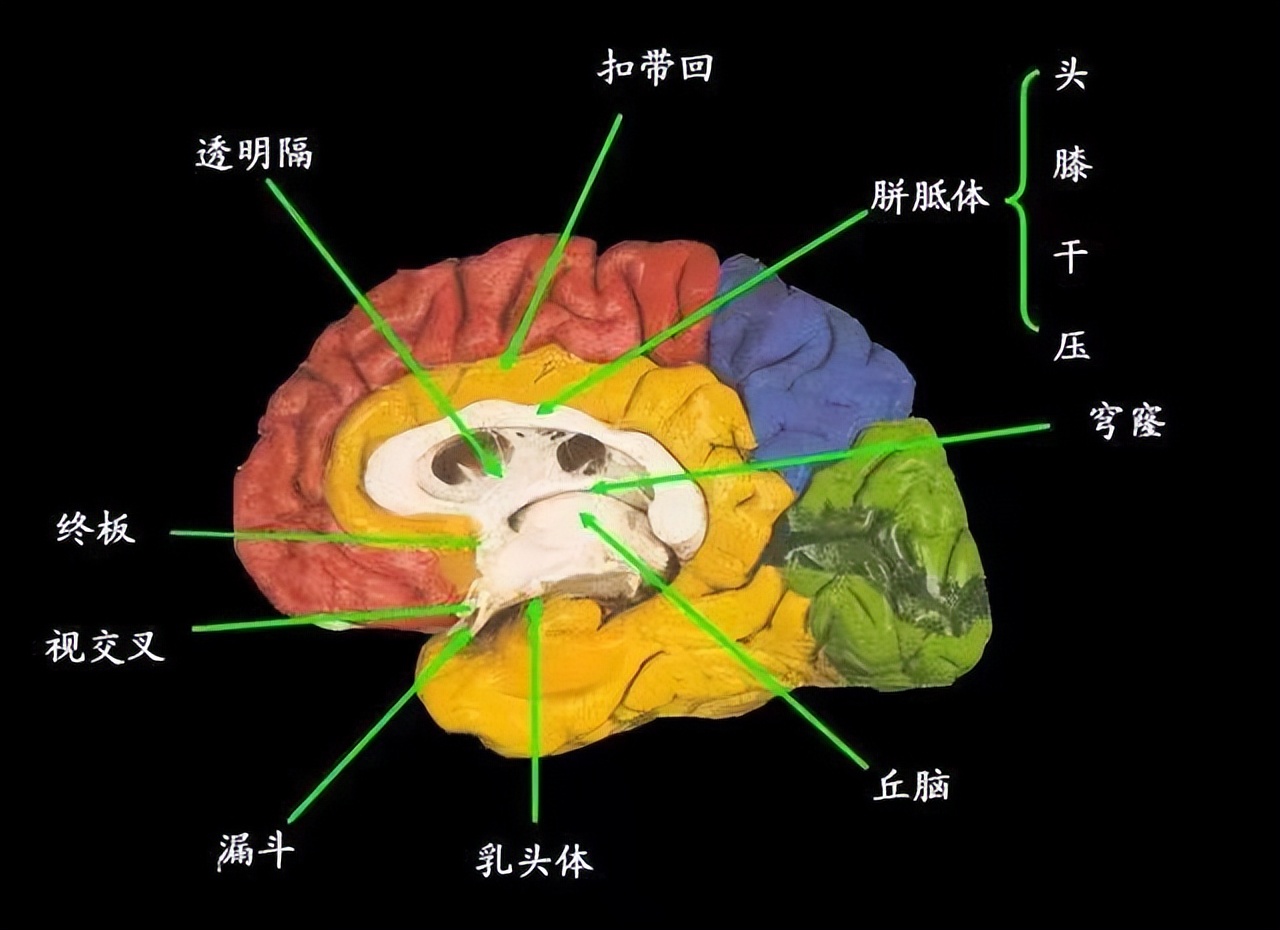 撒貝南