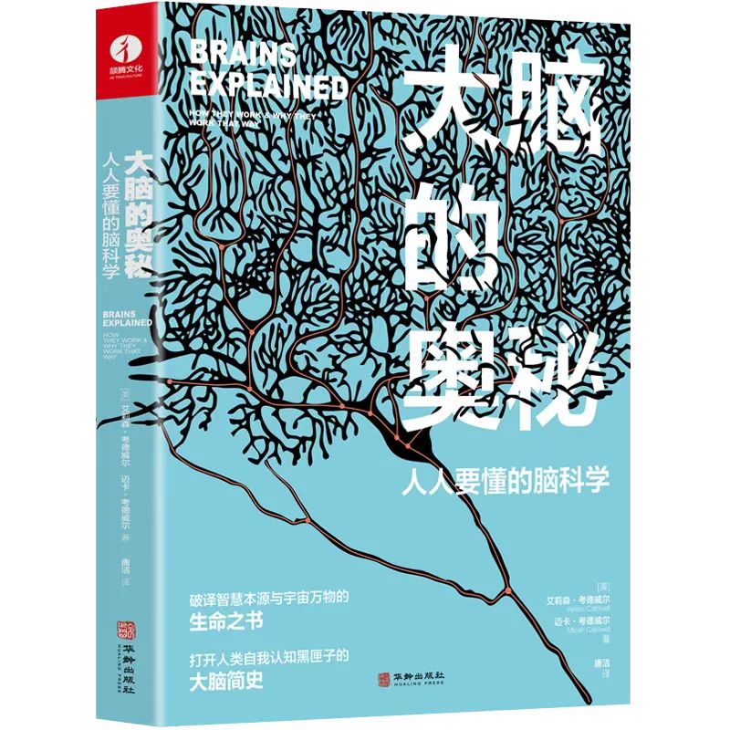 撒貝南
