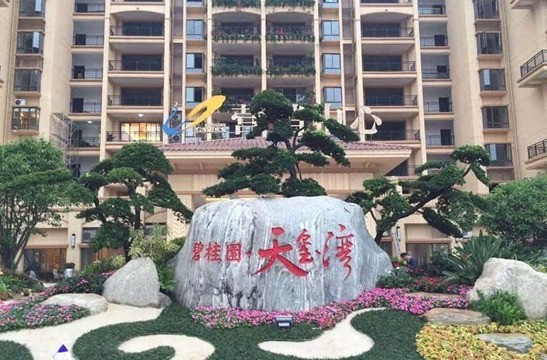 楊惠妍