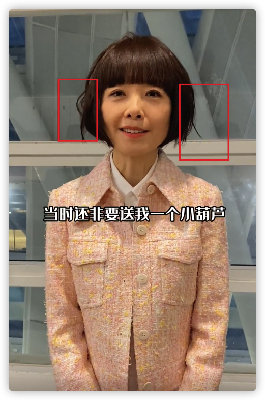 陳魯豫