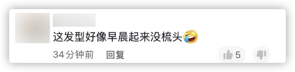 陳魯豫