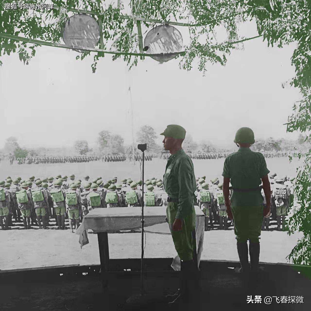 戴安瀾