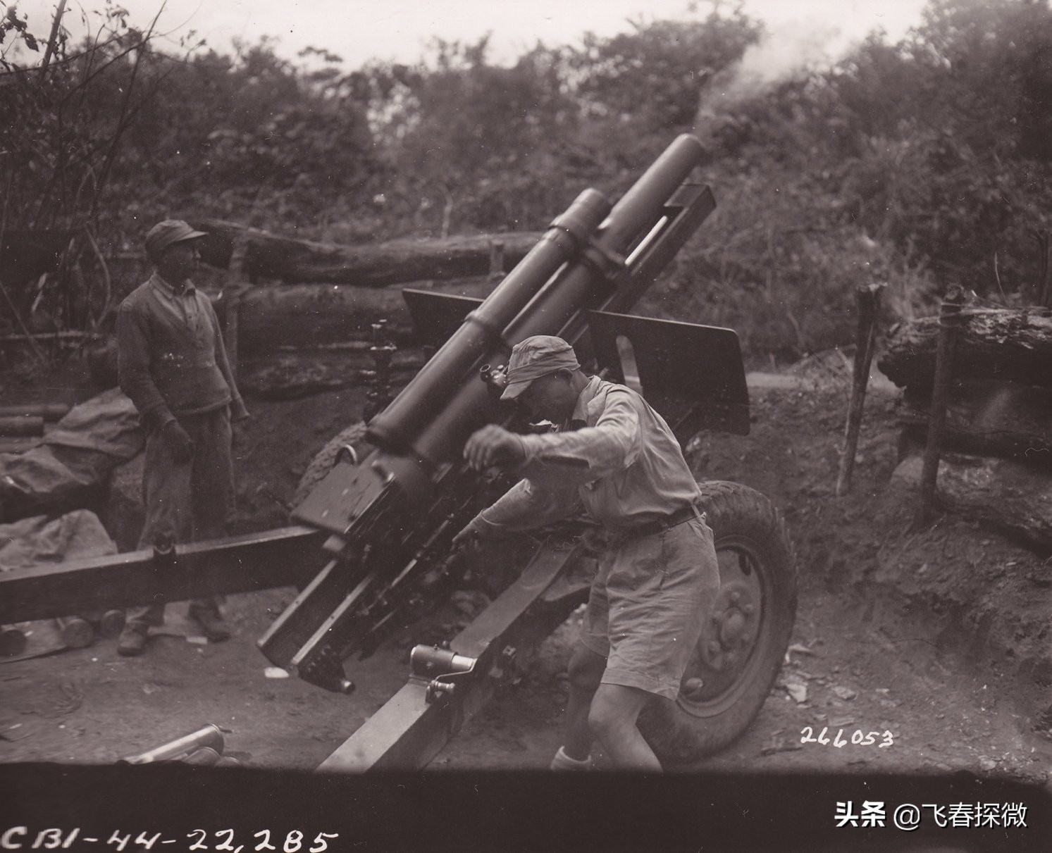 戴安瀾