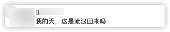 陳魯豫