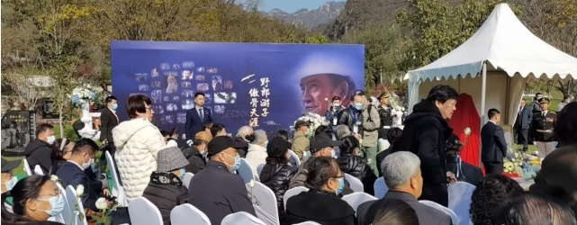 楊在葆
