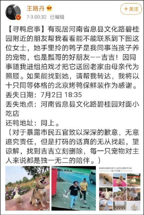 王珞丹