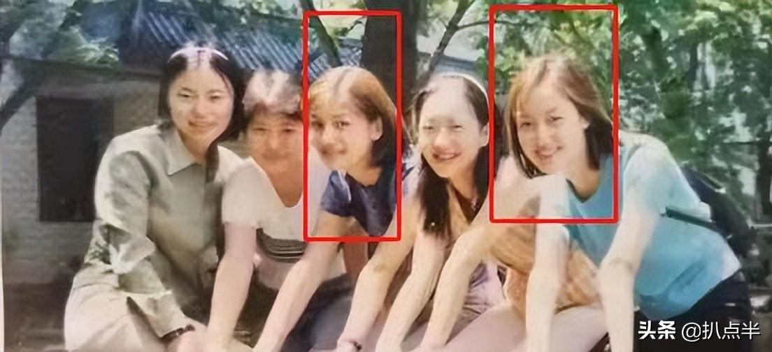 趙子琪