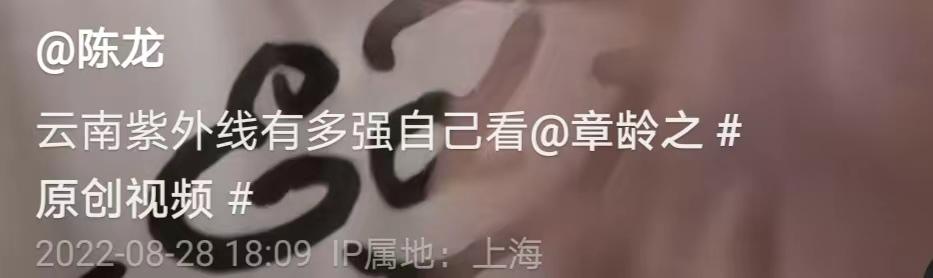 陳龍