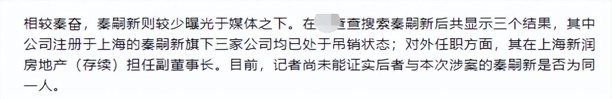 秦嗣新