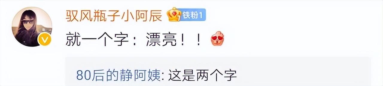 張偉麗