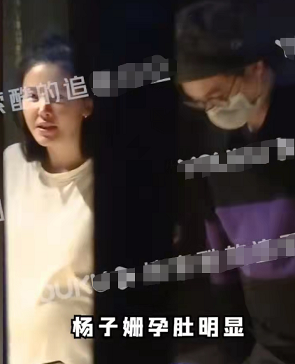 楊子珊