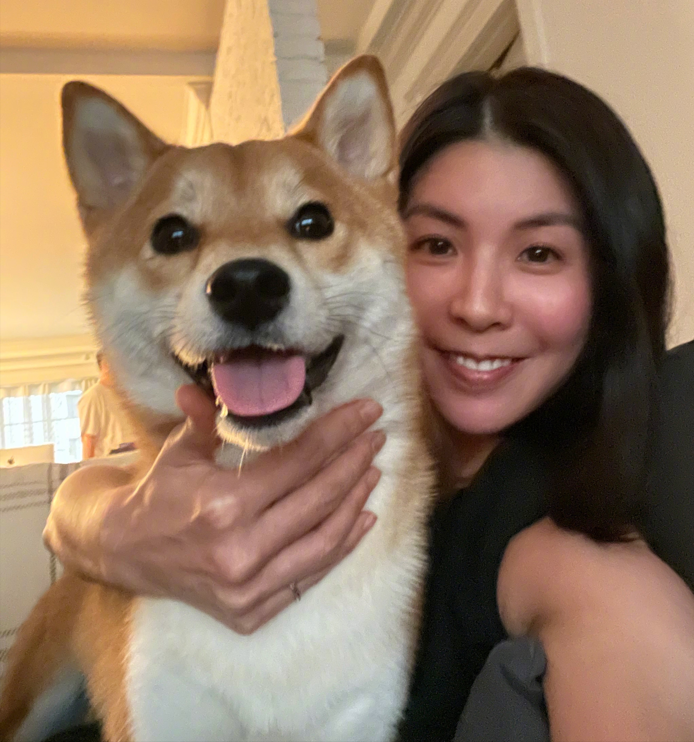 許茹芸