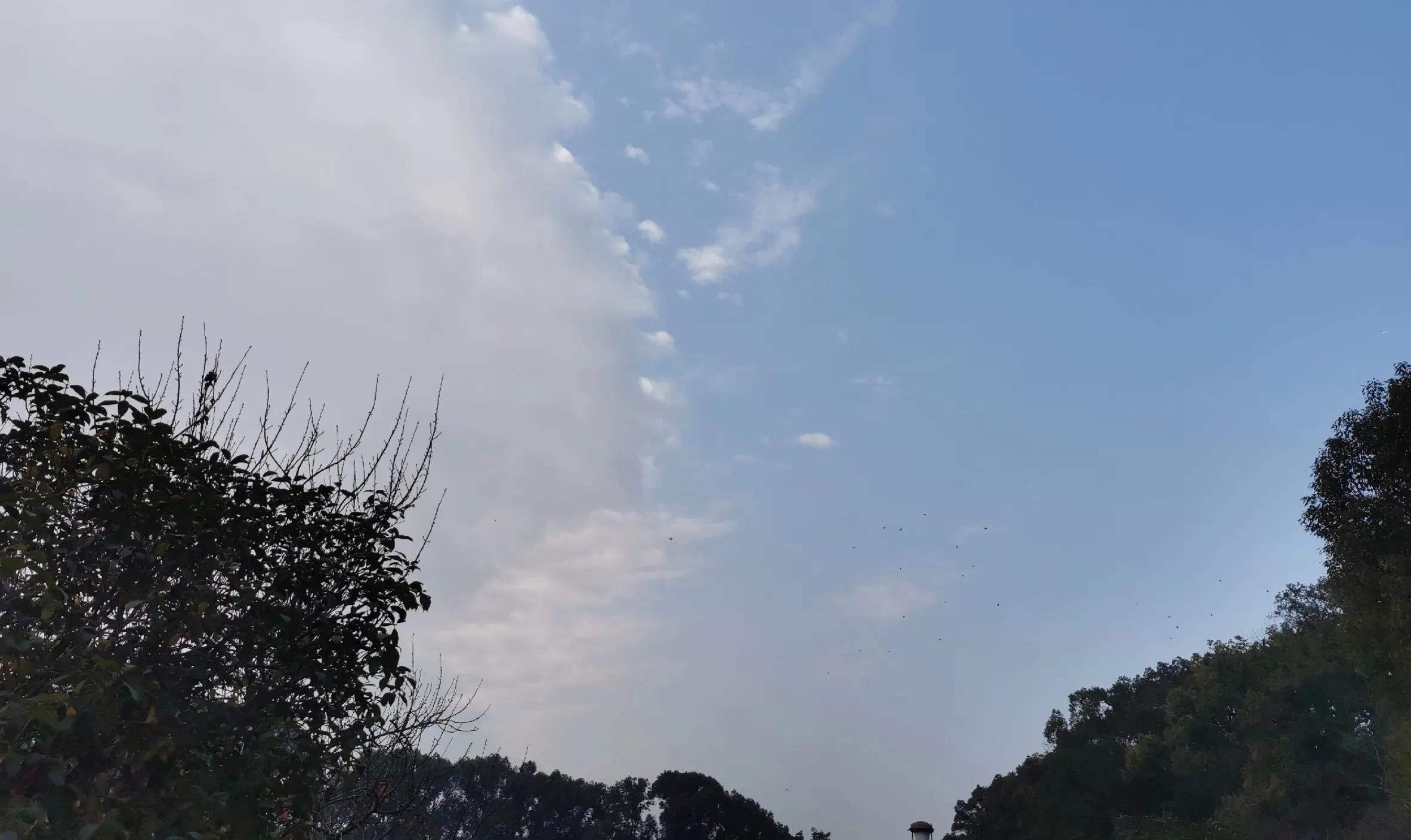 楚莊王