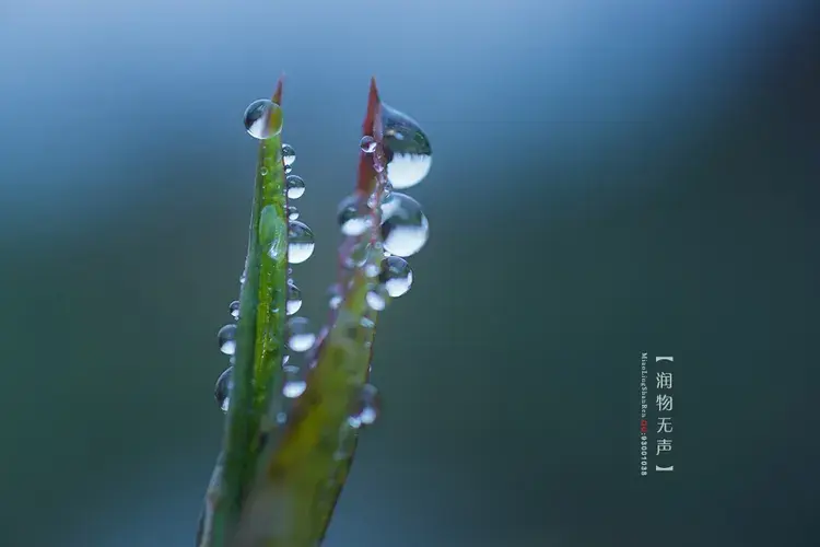 楚莊王
