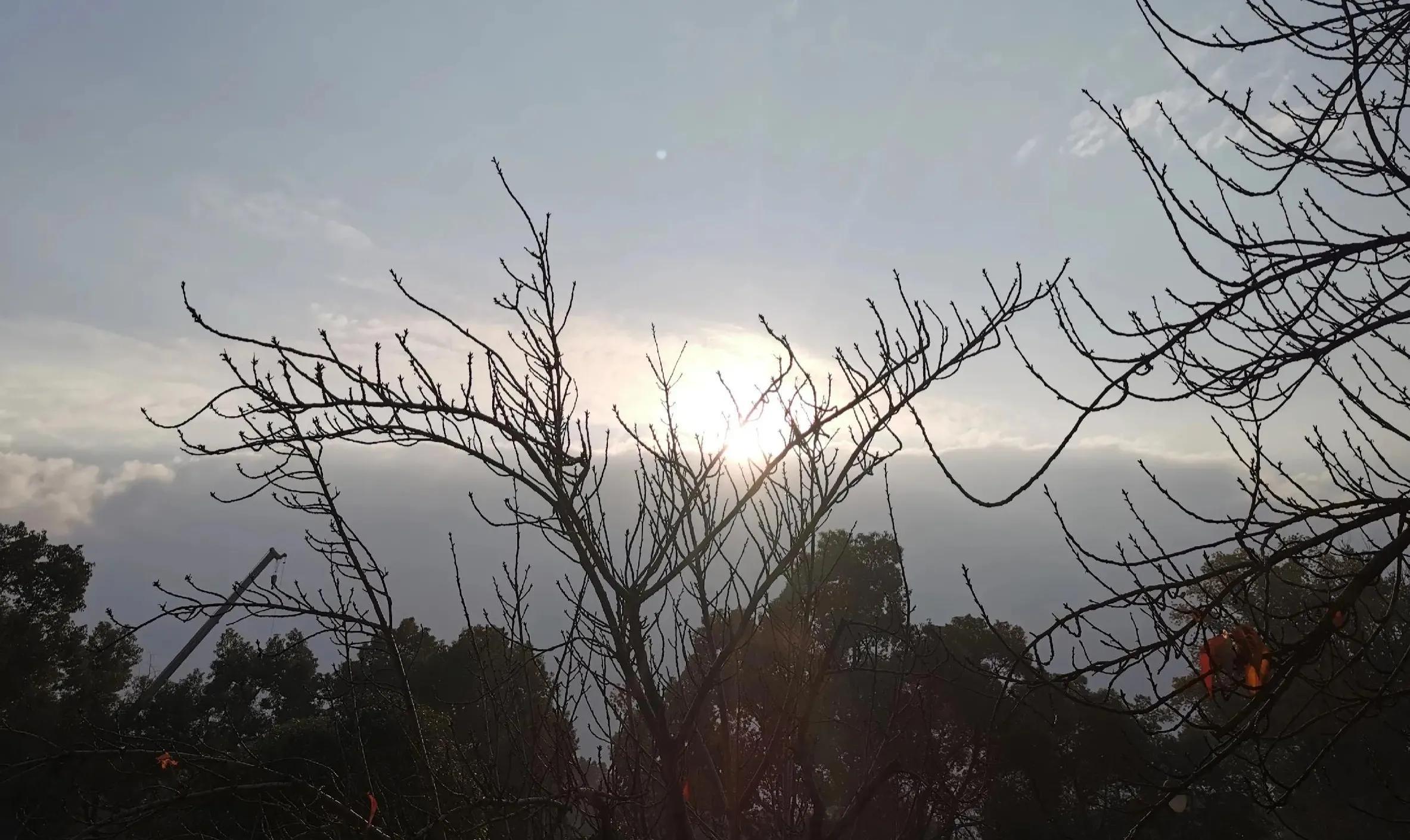 楚莊王