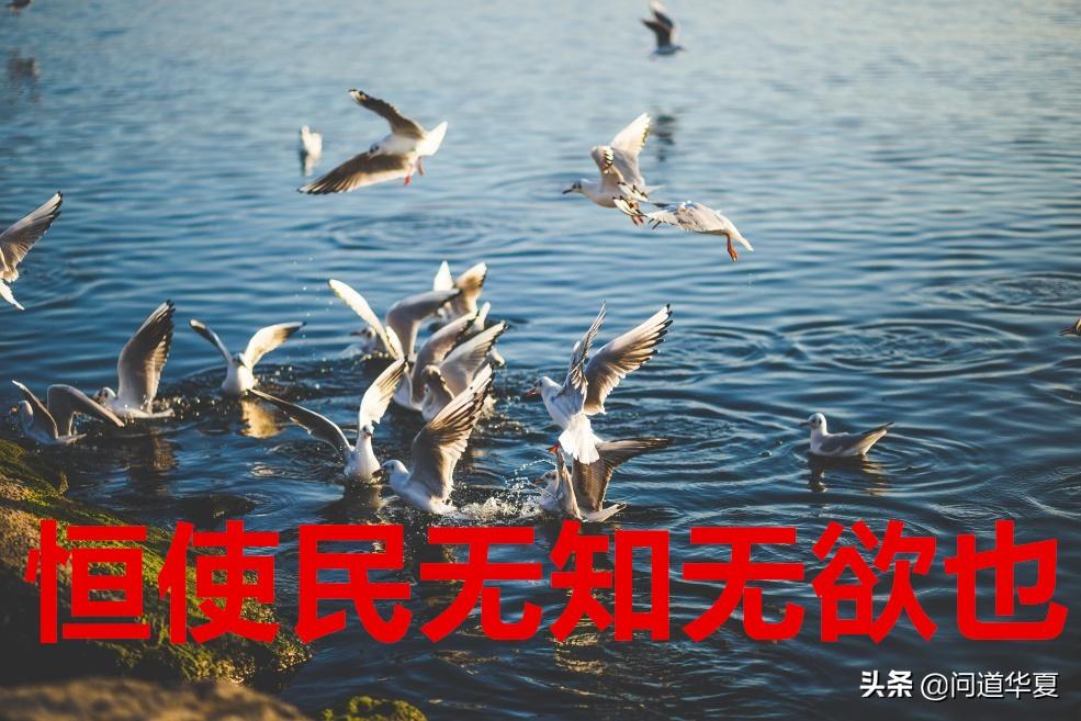 老子