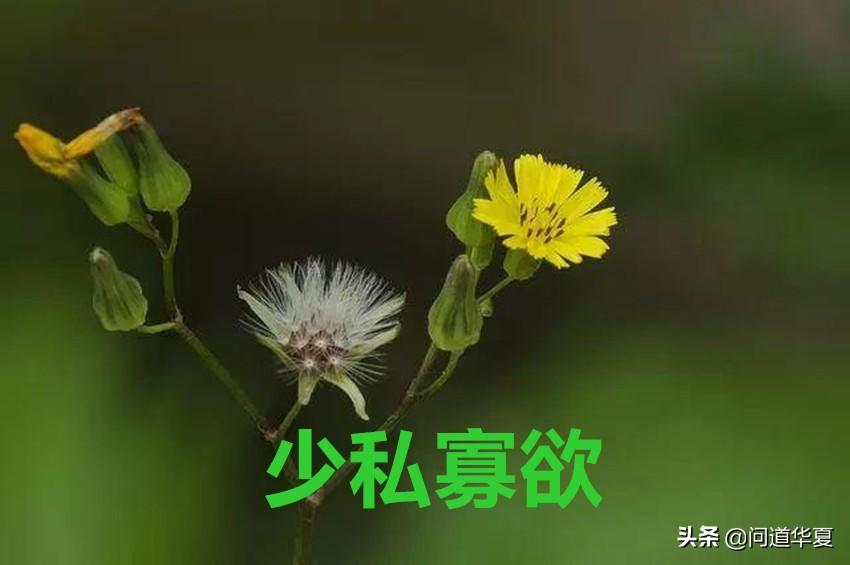 老子