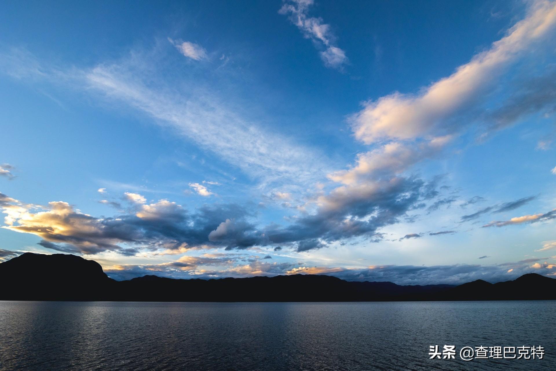 陸遊