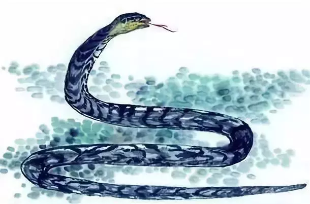 曾國藩