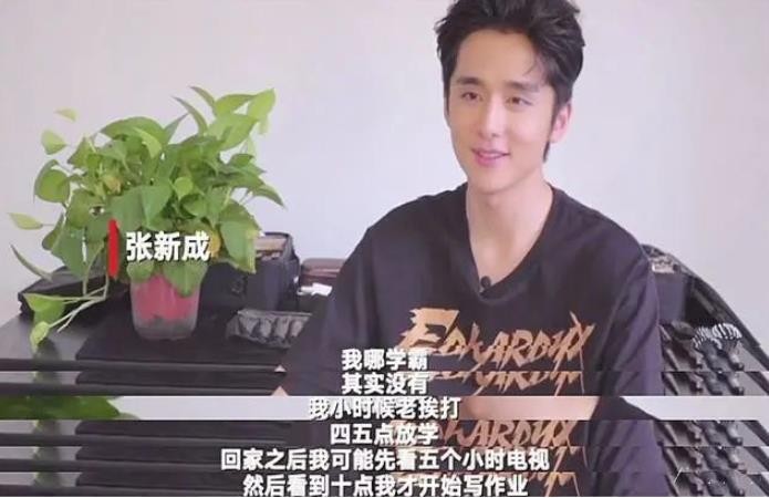 張新成