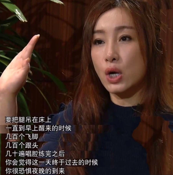 秦海璐