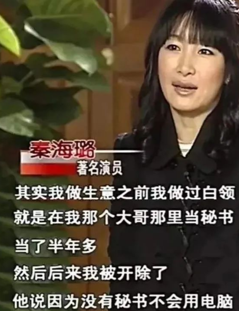 秦海璐