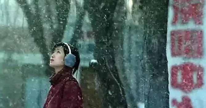 秦海璐