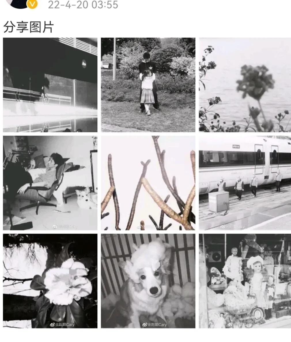 瀏陽