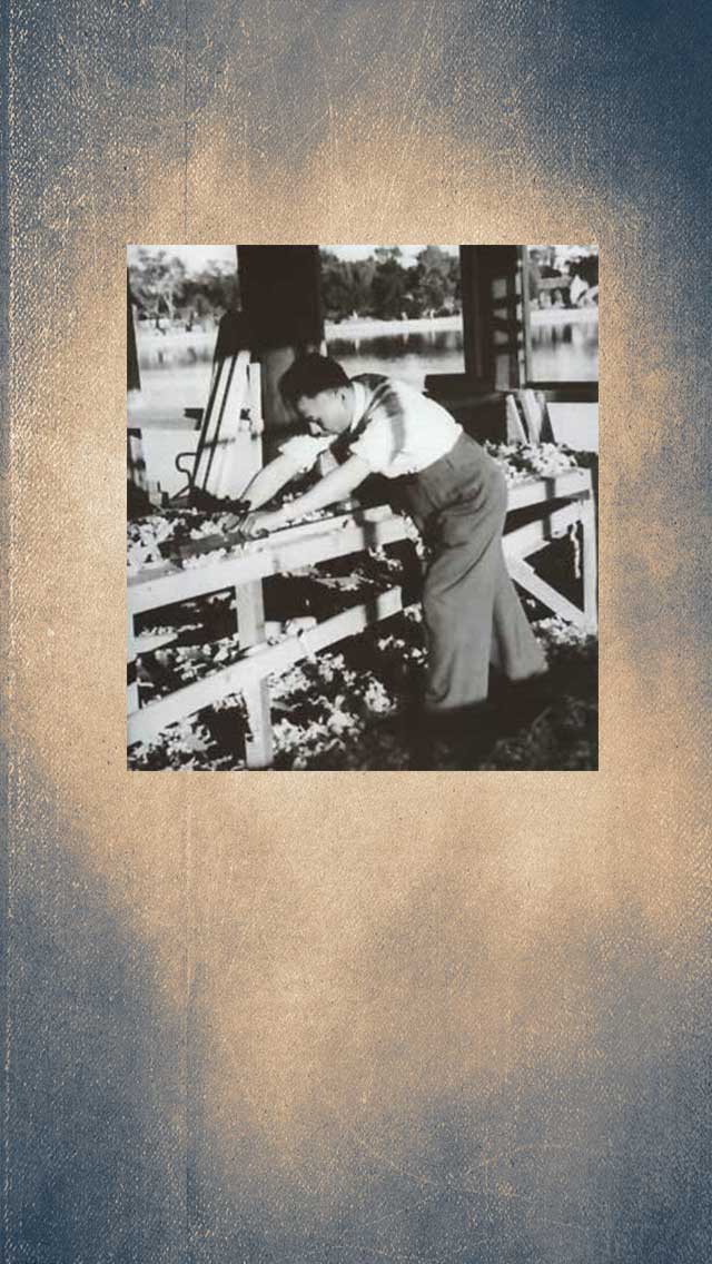 劉少齊