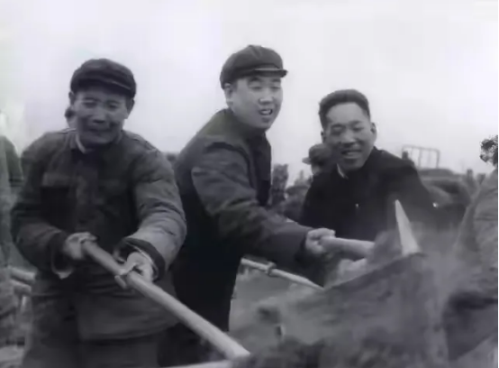 楊貴