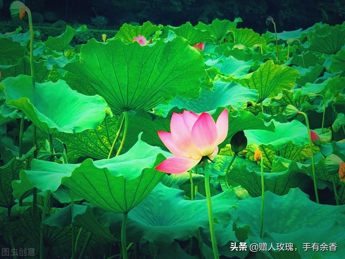 李白