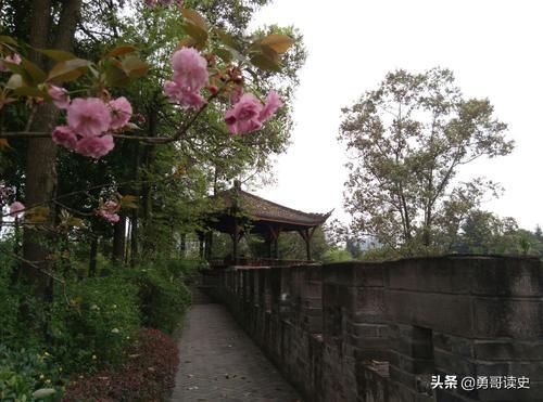 李紳