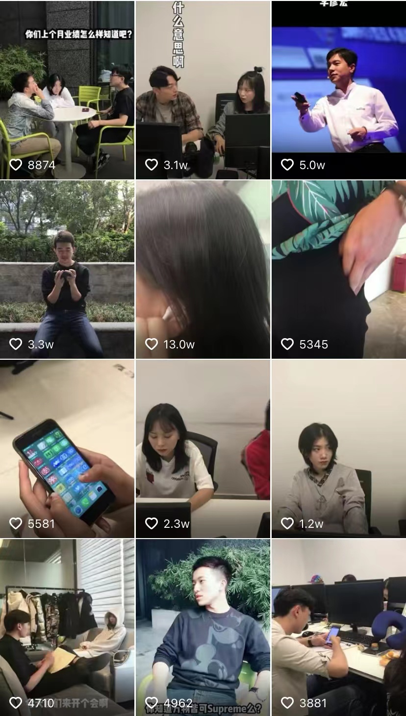 陶白白