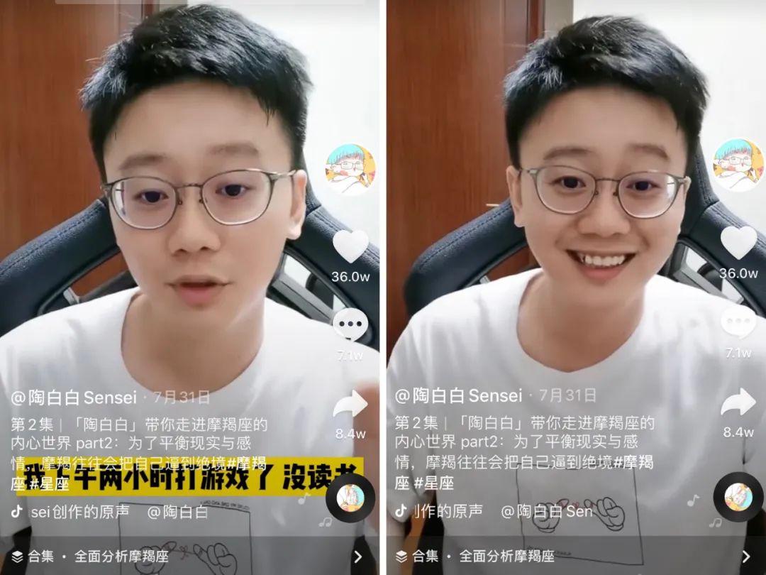 陶白白