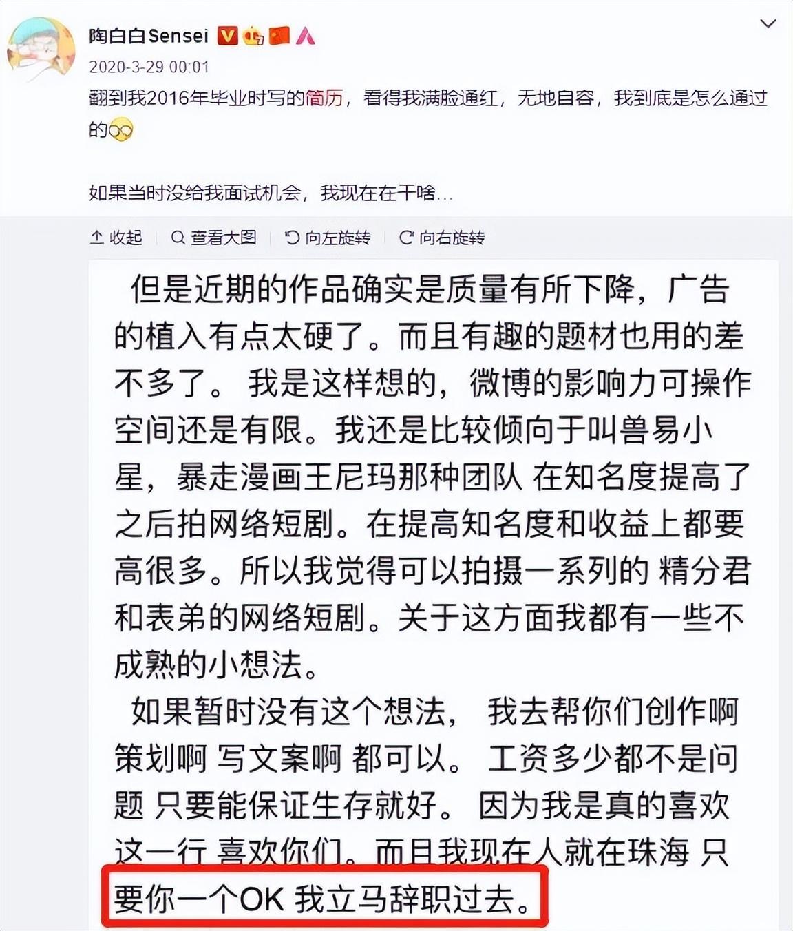 陶白白