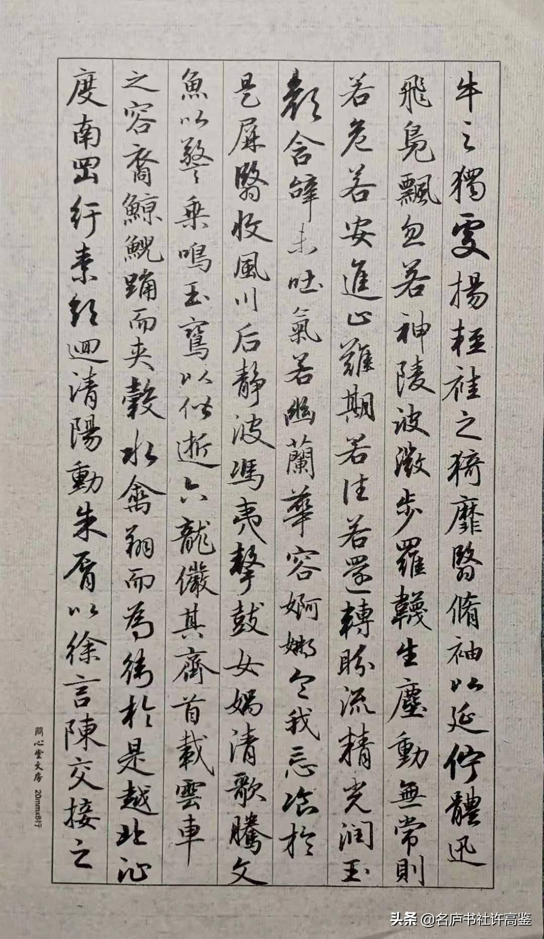 曹植