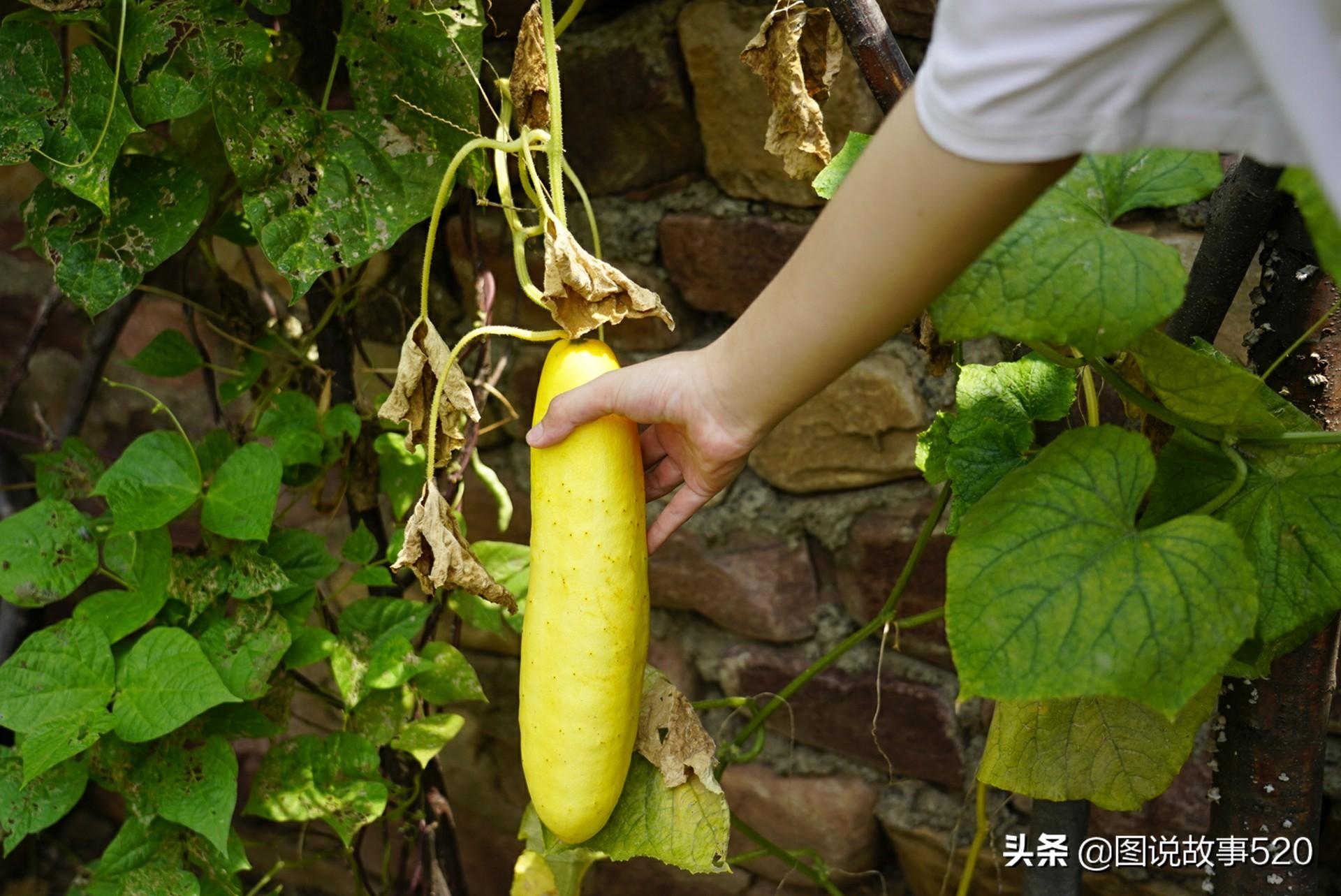 張騫