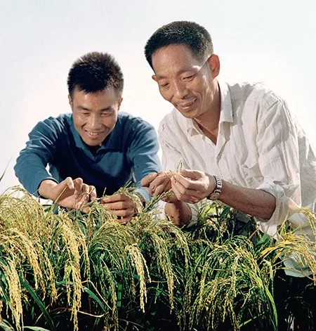 袁隆平