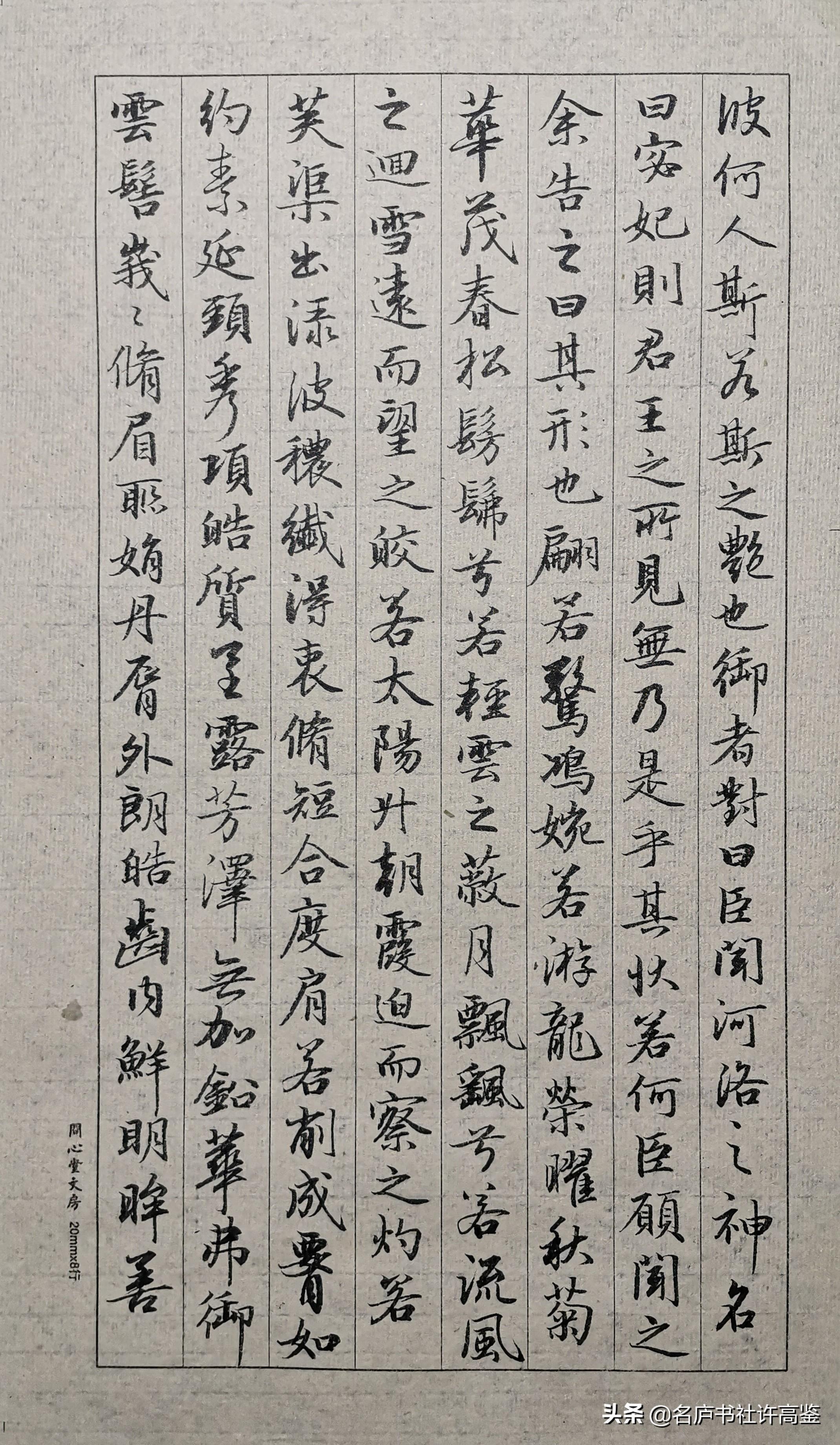 曹植