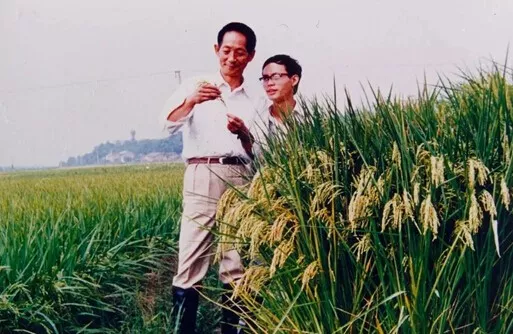 袁隆平