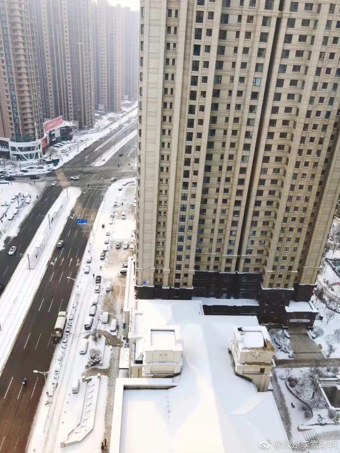 李雪琴