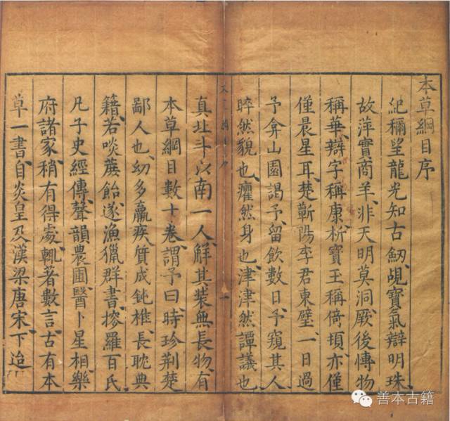 李時珍